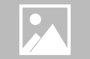 世界田径比赛城市交通协同应急预案