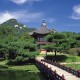 世界短跑社区导师扶持计划第56批实施报告公开，世界短跑冠军有哪些
